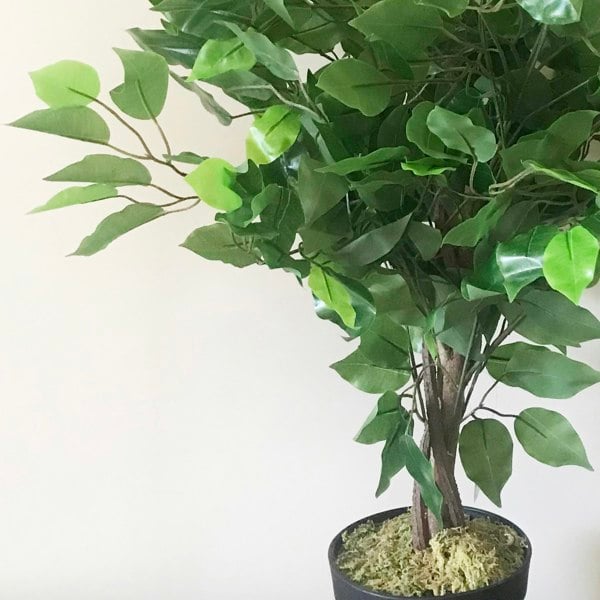 Leaf 60cm Artificial Ficus Tree / Plant - Large Bushy Shape