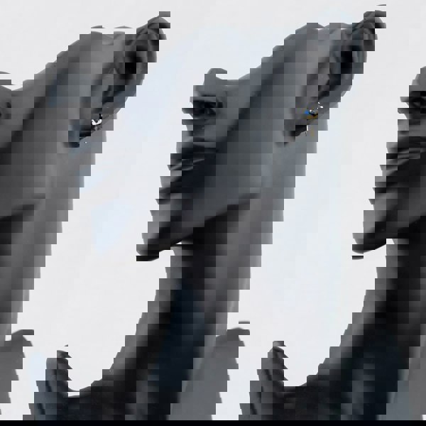 T. H. Baker 9ct Yellow Gold September Blue Birthstone Stud Earrings 1.59.1857