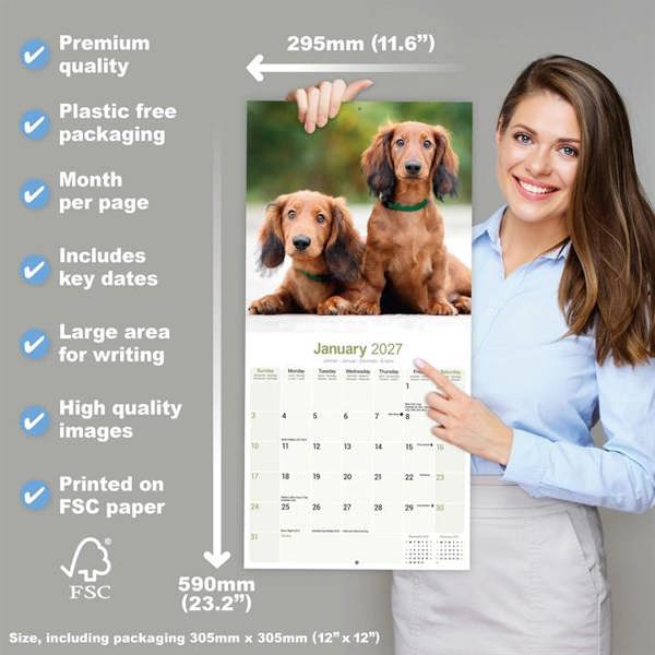 Long Haired Dachshund Calendar 2027, Wall Calendars, Month To View, Dogs, Gift