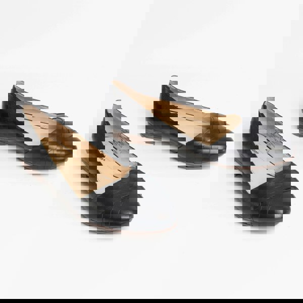 1565265939-01216500.jpg