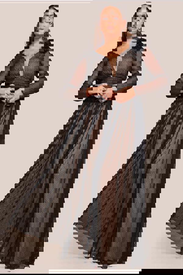 Corsage Dobby Mesh A-Line Maxi Dress - Black DR4414PLUS