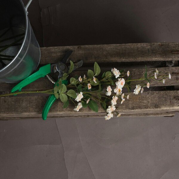 Wyld Haus Set of 3 Artificial Flowers Cream Wild Meadow Rose Stems