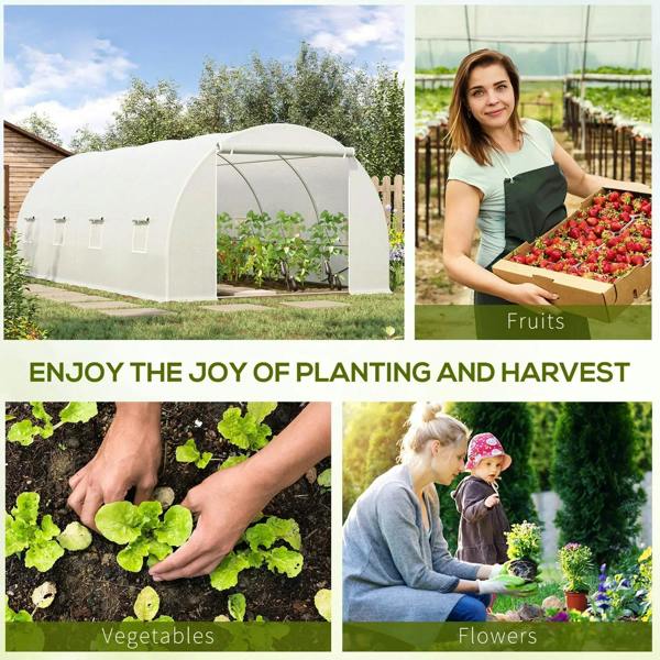 White polytunnel greenhouse tent with front door opening and side ventilation windows