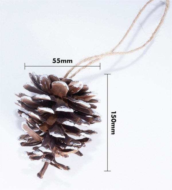 St Helens White Tipped Hanging Pinecone - Set Of 6