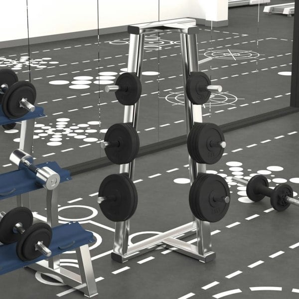 Berkfield Weight Plates 6 pcs 30 kg Cast Iron