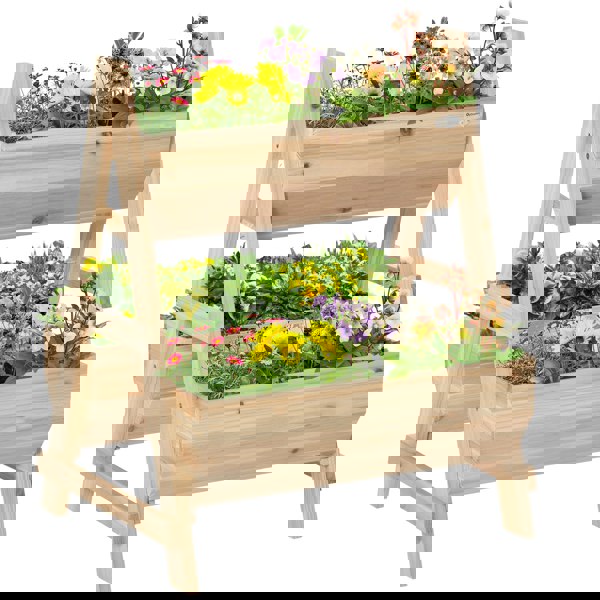 Garden Bed