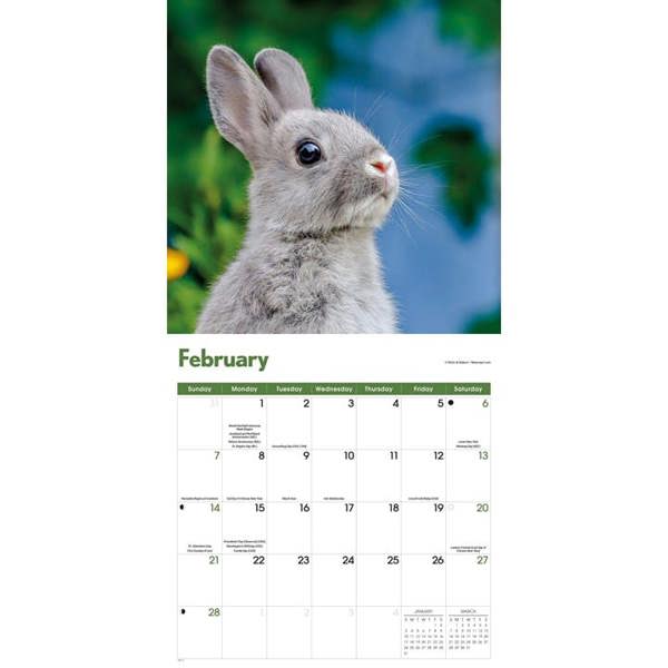 Rabbits Calendar 2027, Wall Calendars, Month To View, Animals, Gift