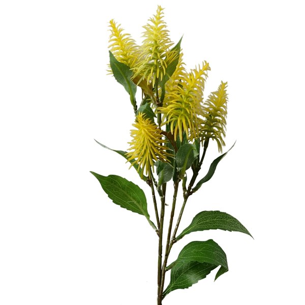 Leaf Pack of 6 x 55cm Callistemon Pallidus Yellow Bottle Brush Stem