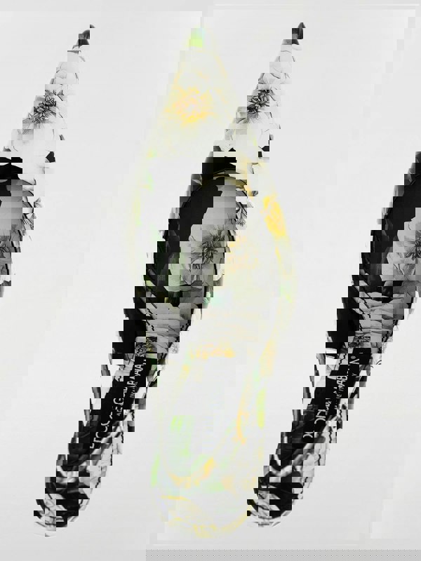 207385817.jpg