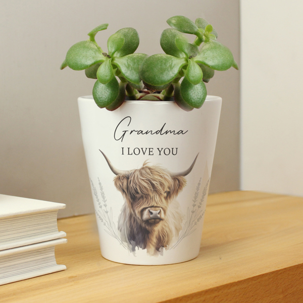 Personalised Memento Company Personalised Highland Cow Plant Pot
