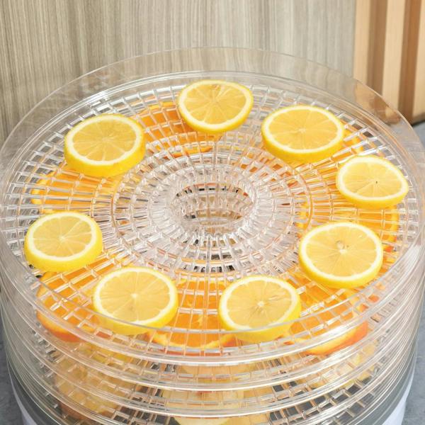 Clear dehydrator tray with lemon slices arranged on a drying grid