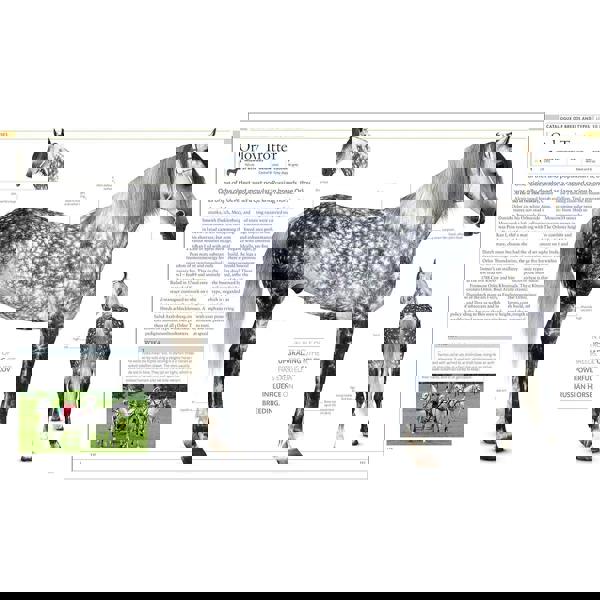 The Horse Encyclopedia (DK Pet Encyclopedias) by Elwyn Hartley Edwards