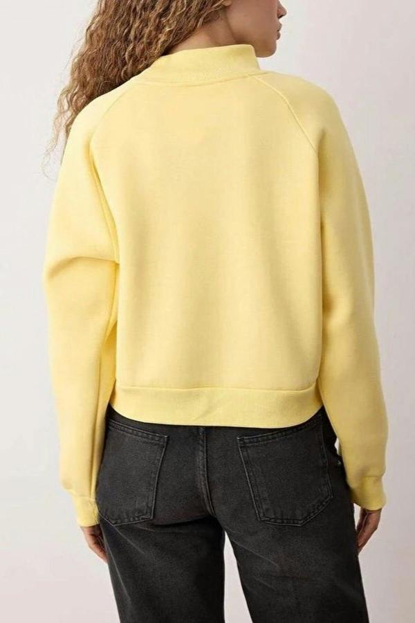 WOVCOR Thick Fleece Knit Sweatshirt with Raglan Sleeves