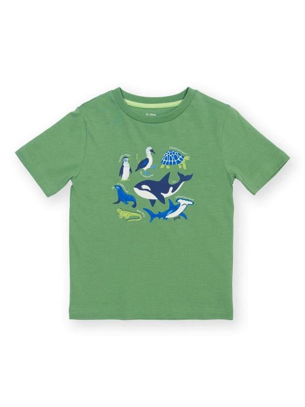 Kite Boys Organic Galapagos T-Shirt