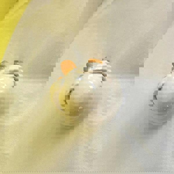 Handmade Shy Duck Ceramic Ornament – UK Made