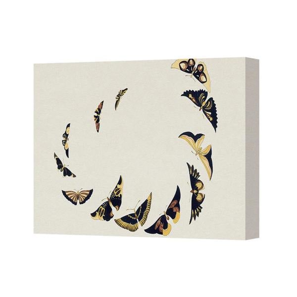 Benjamin Tate Design Butterfly Spiral Canvas Wall Art Decor Neutral Cream Tones
