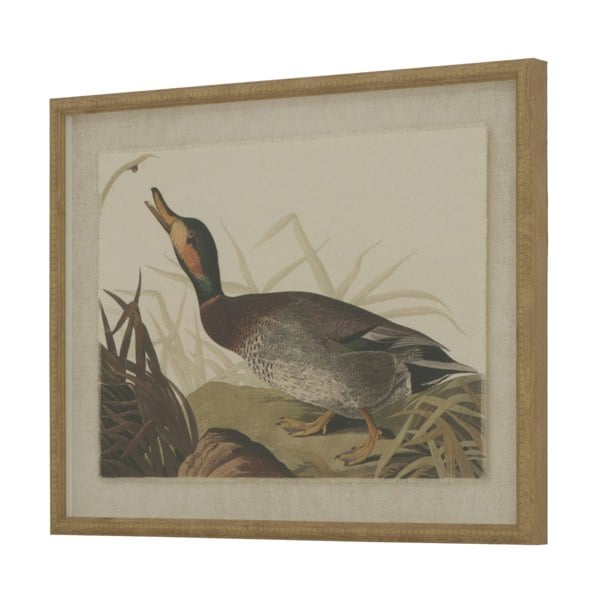 Hill Interiors Flora & Fauna Collection Duck Linen Framed Art Print - Multicoloured