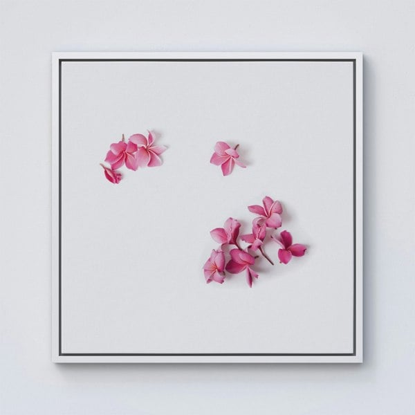 Warren Reed Pink Frangipani Flowers Framed Canvas