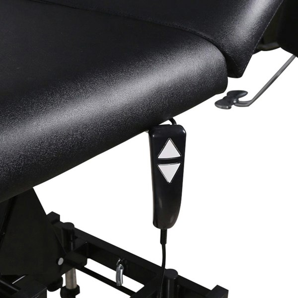 Electric Adjustable Reclining Tattoo Chair - Portable Salon Spa Bed Living and Home