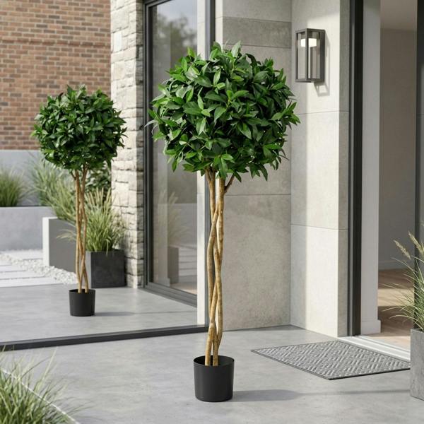 Garden Greatness Evergreen Laurel Ball Potted Tree