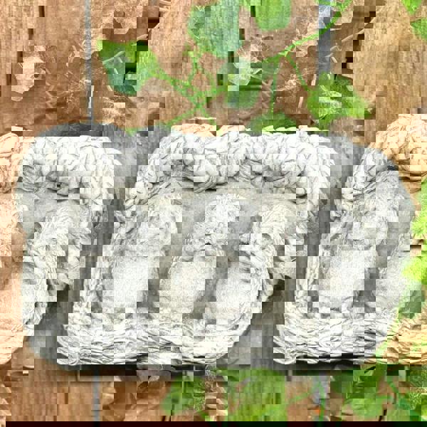 Cute Hedgehog family Stone Wall Plaque