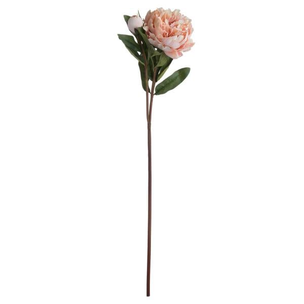 Wyld Haus Set of 3 Artificial Flowers Peach Peony Rose Stem