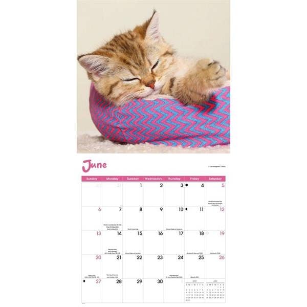 Cat Naps Calendar 2027, Wall Calendars, Month To View, Cats, Gift
