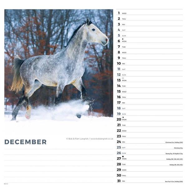 Horses Calendar 2027, Wall Calendars, Month To View, Animals, Gift