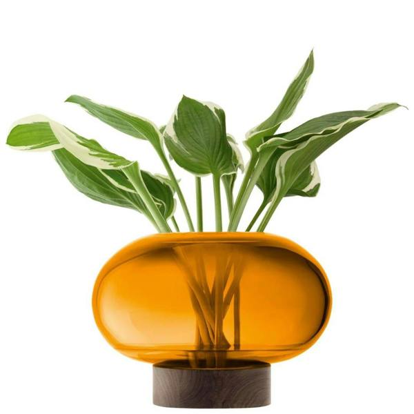 LSA Oblate Glass Vase Lantern 19.5cm with Walnut Base Amber