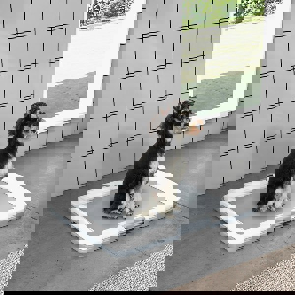 D07-050V01GY