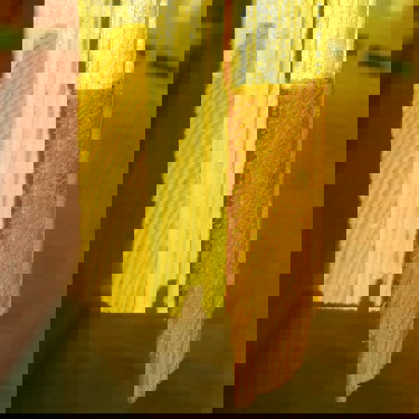 Shire Premium Corner Shed 10x10 2x2" framewood 12mm interlock cladding - Best Shed