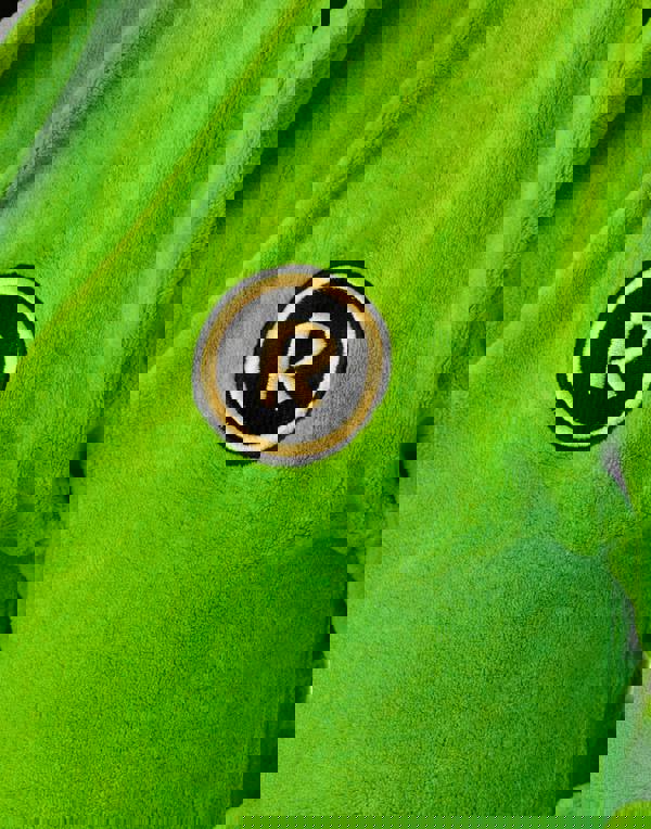 Teenage Mutant Ninja Turtles Mens Green Hooded Bathrobe