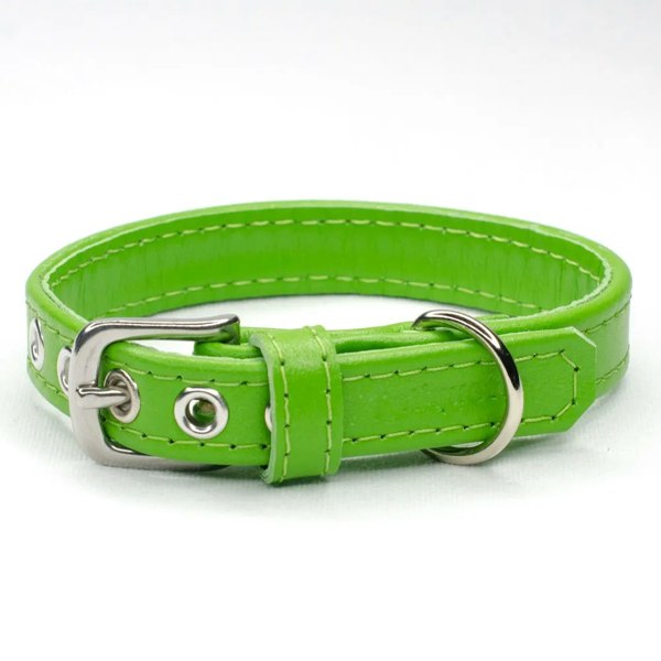 handmade lime green leather dog collar - Petiquette Collars