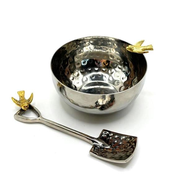 Stainless Steel Bowl and Spoon with Swallow