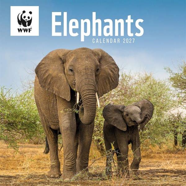 WWF, Elephants Calendar 2027, Wall Calendars, Month To View, Animals, Gift
