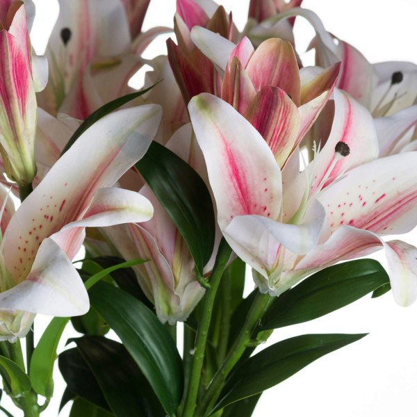 Hill Interiors Stargazer Lily - White/Pink