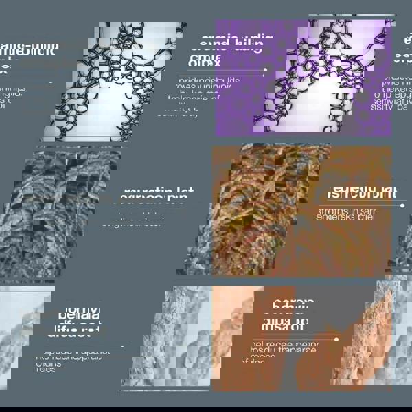 Dermalogica Stabilizing Repair Cream Duo