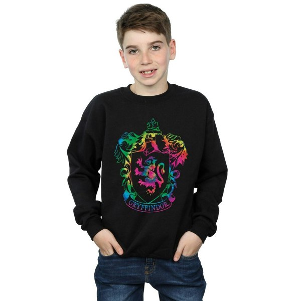 Harry Potter Boys Gryffindor Crest Tie Dye Infill Sweatshirt - Black