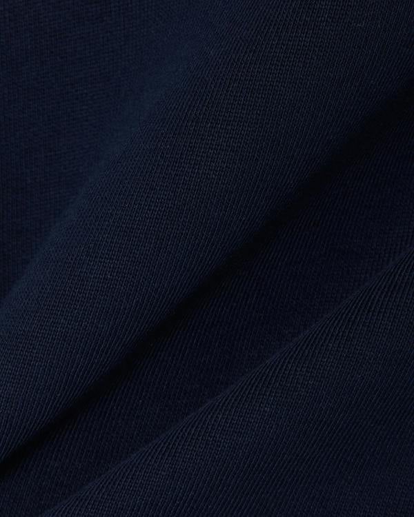 Lacoste Fleece Mens Classic Fit Hoodie - Navy 166 | CHO | Designer Mens Hoodies