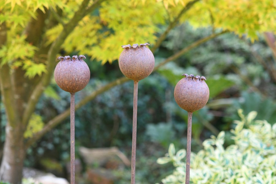 Savage Works Rusty Metal Poppy Seedhead - Metal Garden Flower Sculpture - Garden Decor