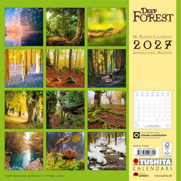 Deep Forest Calendar 2027, Wall Calendars, Month To View, Natural World, Gift