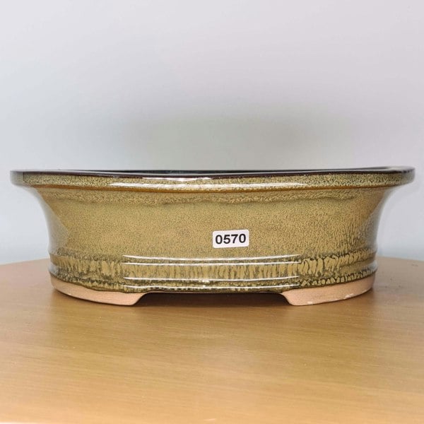 31cm Glazed Bonsai Pot | Oval | 31cm x 25cm x 9cm | Green - Yorkshire Bonsai