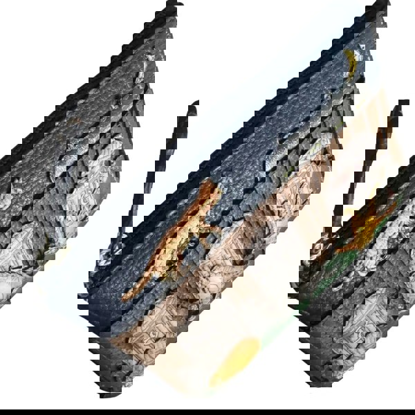 Mala Leather Alley Cats Leather RFID Coin & Card Purse