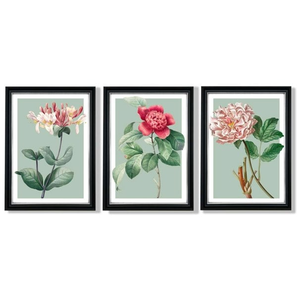 Artze Wall Art Vintage Flowers Honeysuckle, Peony Set of 3 Framed Prints
