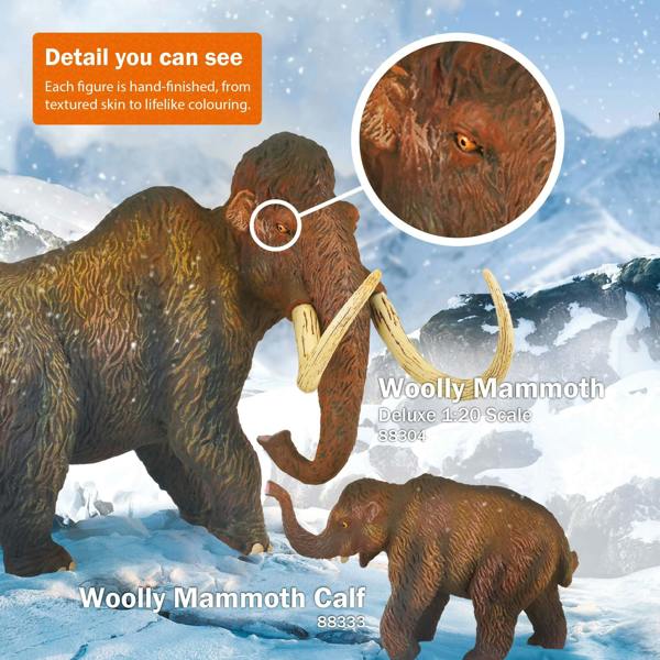 CollectA Tooth & Finger Claw Of Allosaurus In Display Case