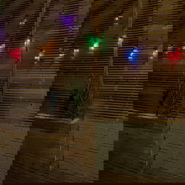 Samuel Alexander Set of 20 Indoor Outdoor Connectable Festoon Lights with Multi-Coloured LEDs