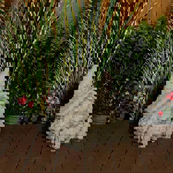 'I Identify as a Fairy' Stone Cast Gnome Statue