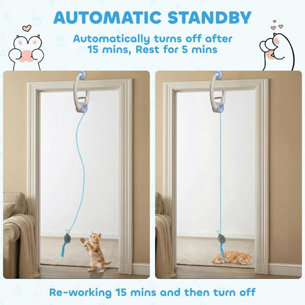Cat Toys