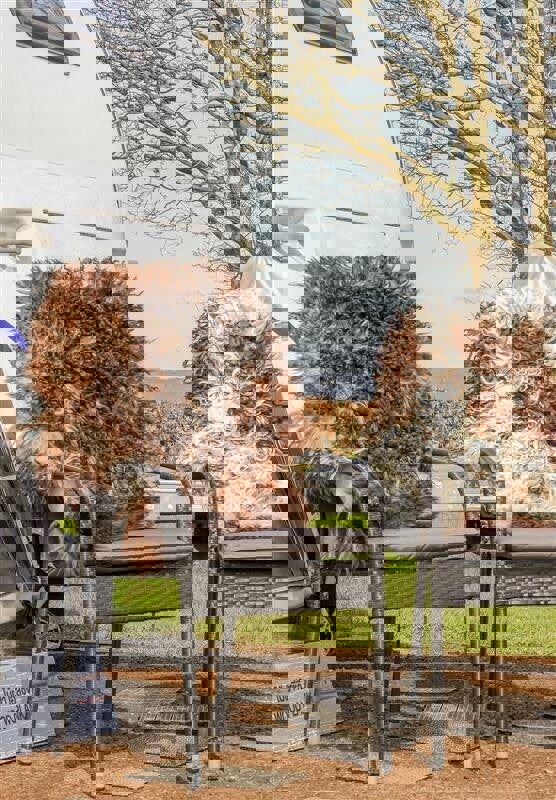 Austrian Sheepskin | Curly | Natural Colors | 90 cm Grey Beige