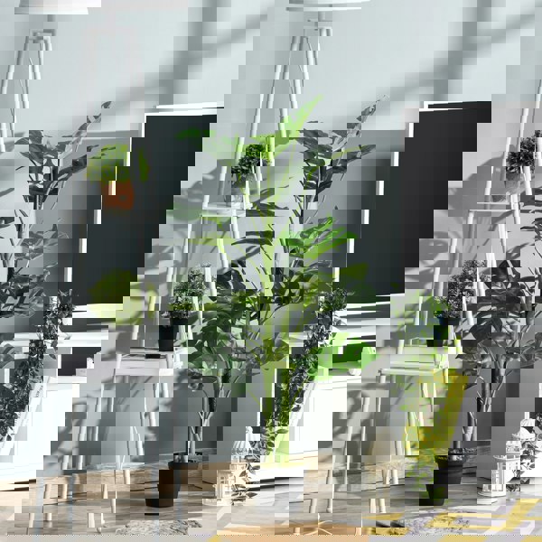 Artificial Plants